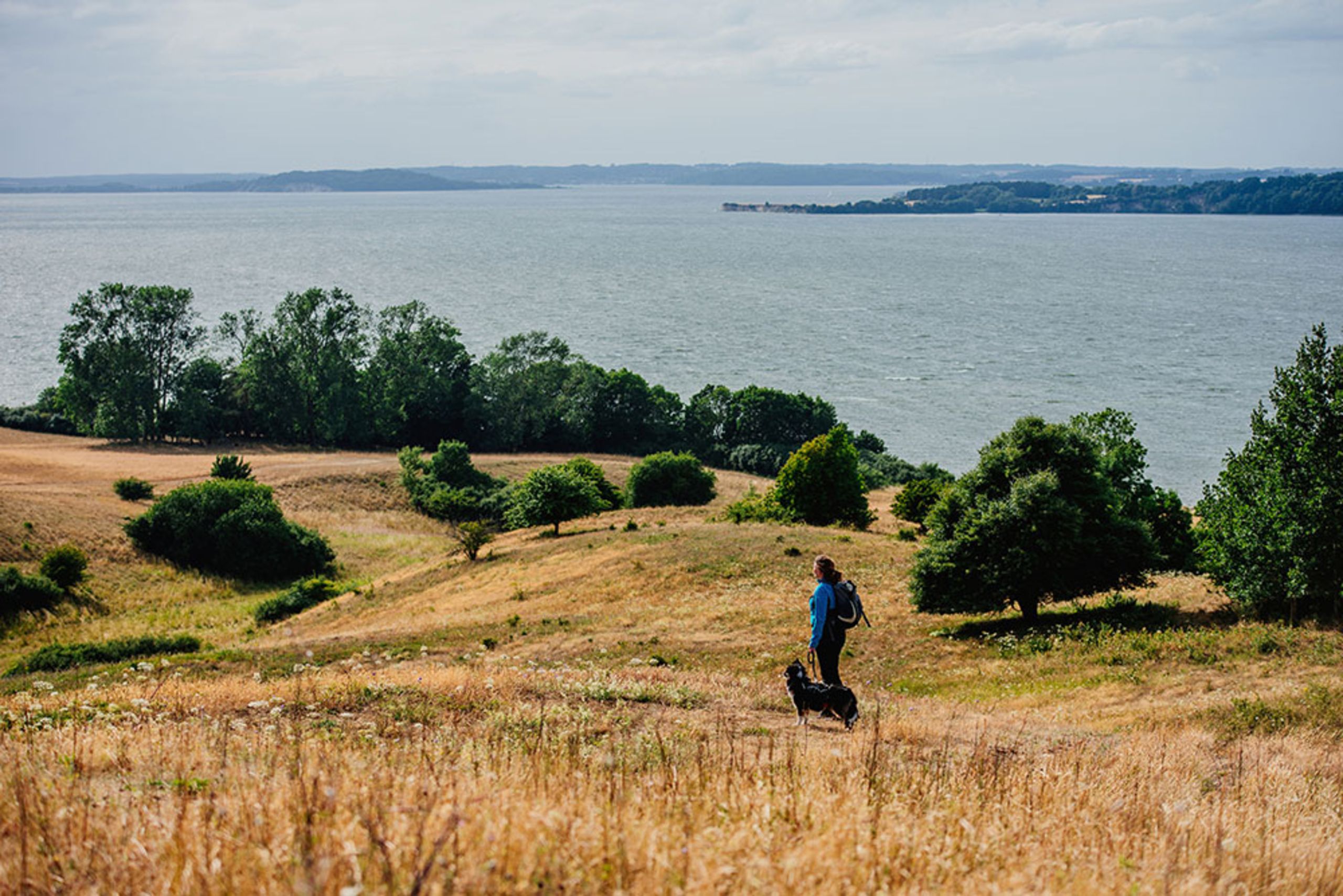 Ausflugstipps mit dem Hund Insel Rügen Urlaub, Sehenswürdigkeiten